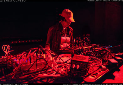 White Chief – Specka – 2025-04-12