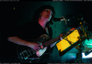 palmeras negras – Wurlitzer Ballroom – 2025-08-06